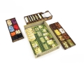 e-Raptor Insert Agricola  (revised edition) 4.jpg