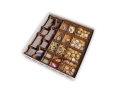 e-Raptor Insert Small World + expansion 4.jpg