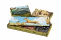 Wild_serengeti_insert (2).jpg