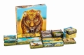 Wild_serengeti_insert (5).jpg